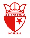 Slavianohejbal